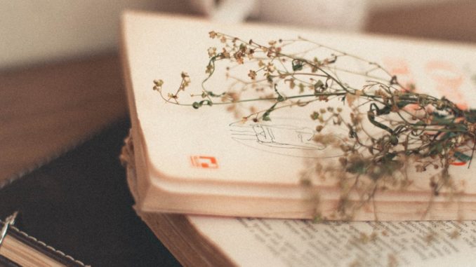 புதுக்கவிதை தோற்றமும் வளர்ச்சியும் கட்டுரை